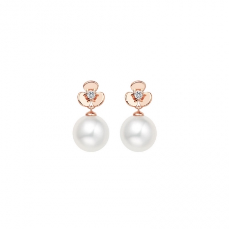 Akoya珍珠三叶草耳钉